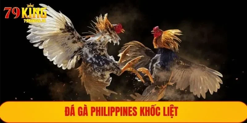 Đá gà Philippines được hàng triệu người mê mẩn