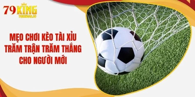 Mẹo Chơi Kèo Tài Xỉu Trăm Trận Trăm Thắng Cho Người Mới
