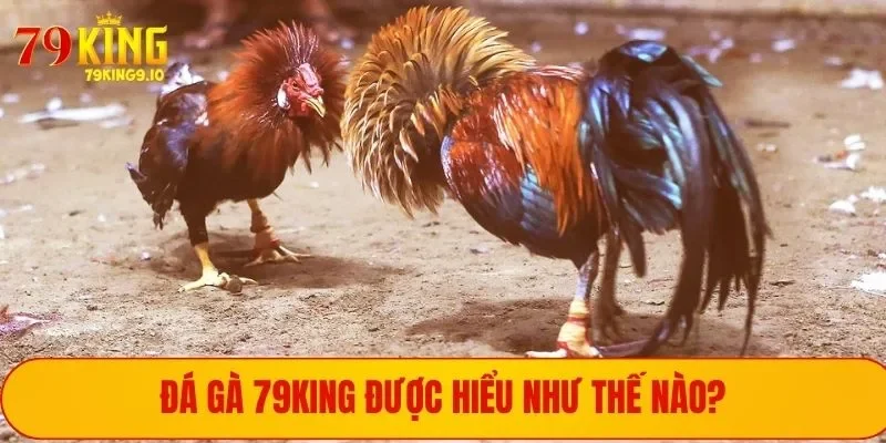 Khái quát về đá gà