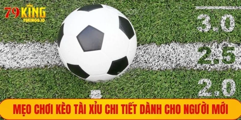 Mẹo chơi kèo Tài Xỉu chi tiết dành cho người mới