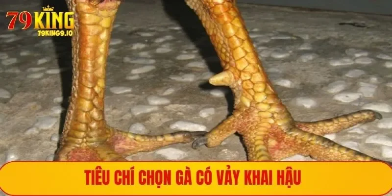 Nhận biết vảy gà tam tài qua hình dáng của chúng