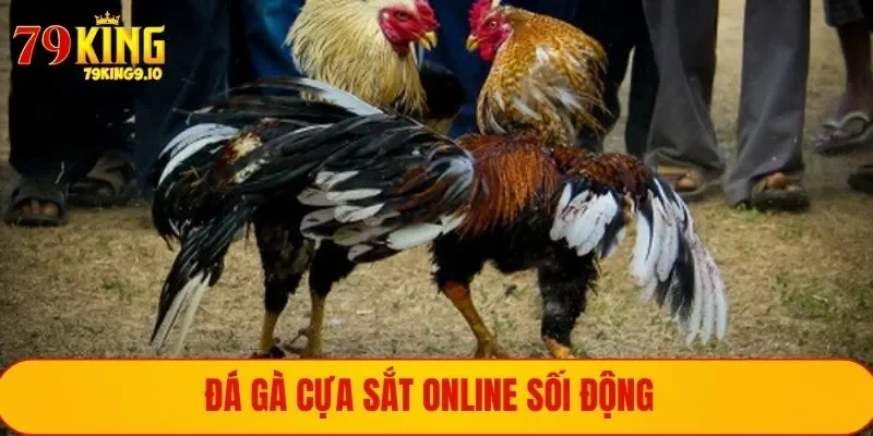 Xem đá gà bằng cựa sắt online sôi động, tiện lợi